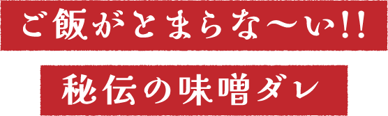 ご飯がとまらな～い!!秘伝の味噌ダレ