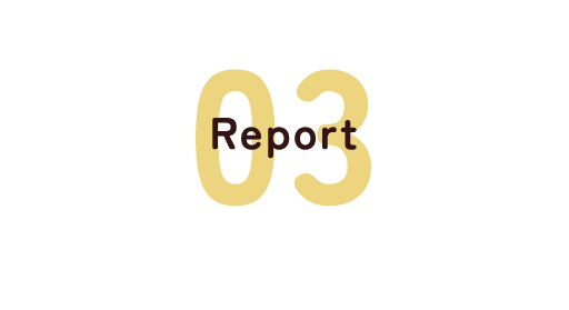 Report03